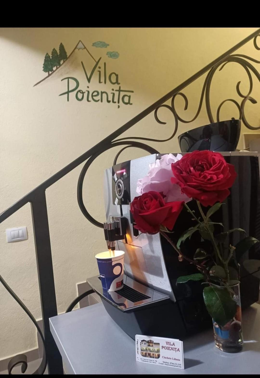Vila Poienita Caciulata Călimăneşti Kültér fotó